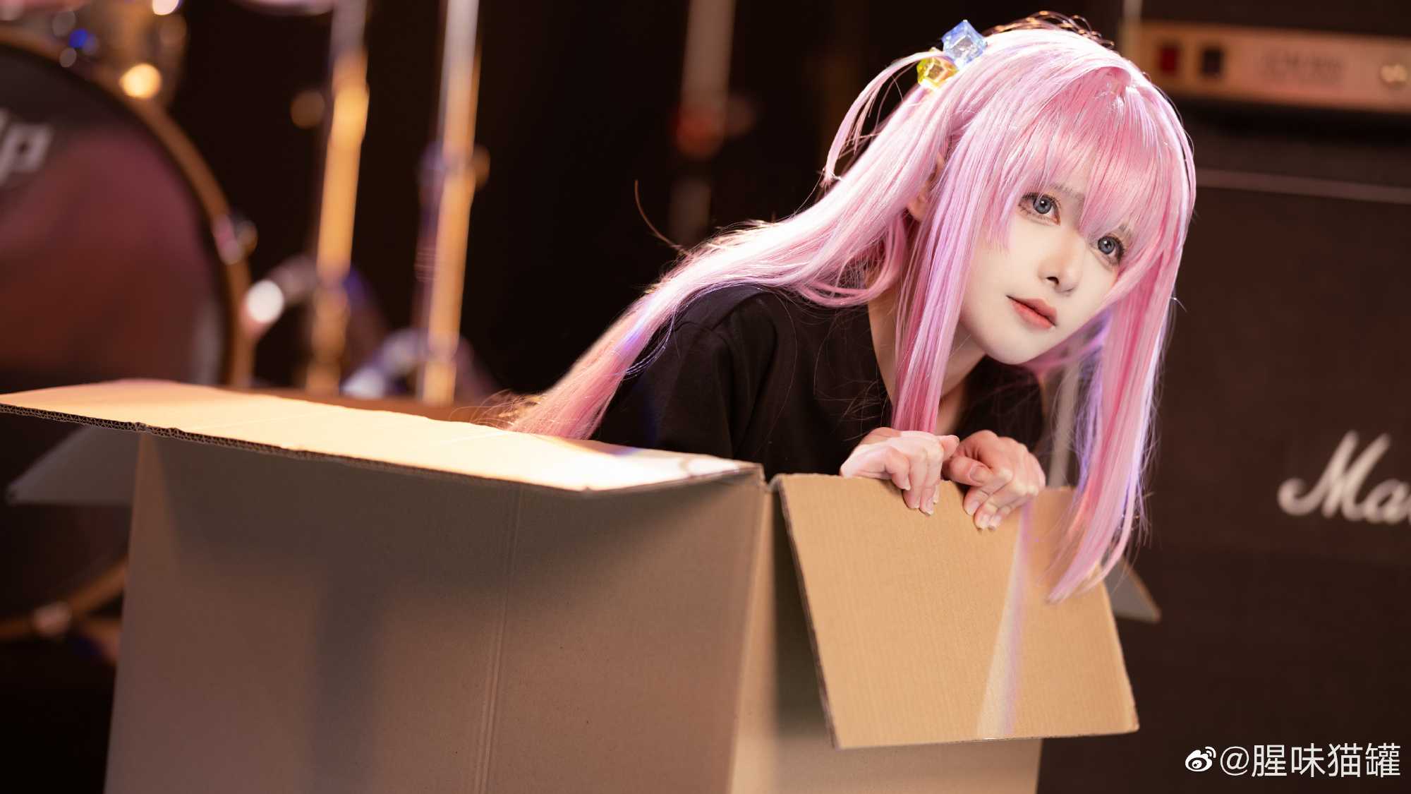 孤独摇滚 乐团相册里的波奇酱